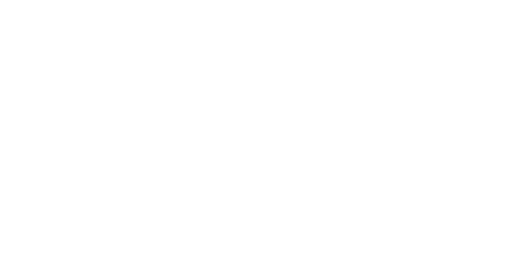 ONO Pharmaceuticals Foundation logo